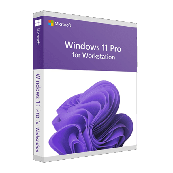 Windows 11 Pro for WORKSTATION